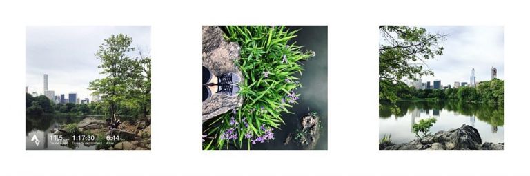 5 jours à New York en amoureux - Central Park