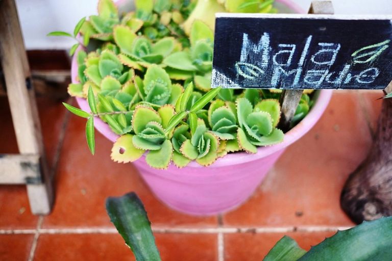 chetumal - hotel lagoon - bacalar