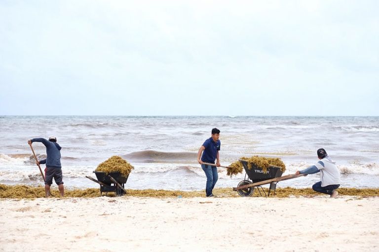tulum - akumal playa