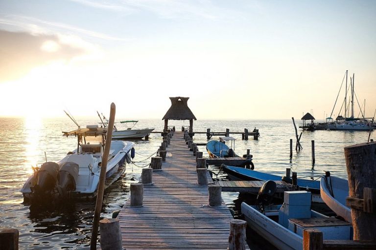 Playa Del Carmen - Isla Mujeres Requins Baleines