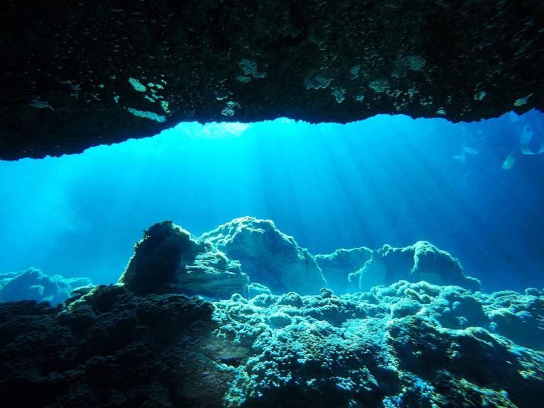 Playa Del Carmen - Plongee Casa Cenote