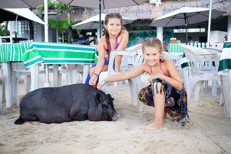 Playa Del Carmen - Cozumel Turquoise Beach