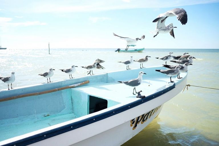 Playa Del Carmen - Holbox