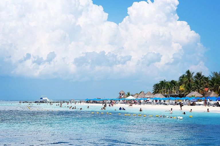 Playa Del Carmen - Isla Mujeres Requins Baleines
