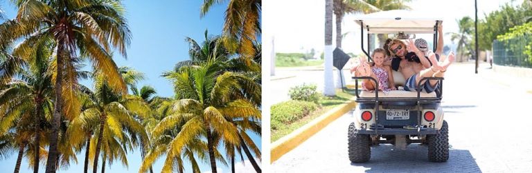 Playa Del Carmen - Isla Mujeres Requins Baleines