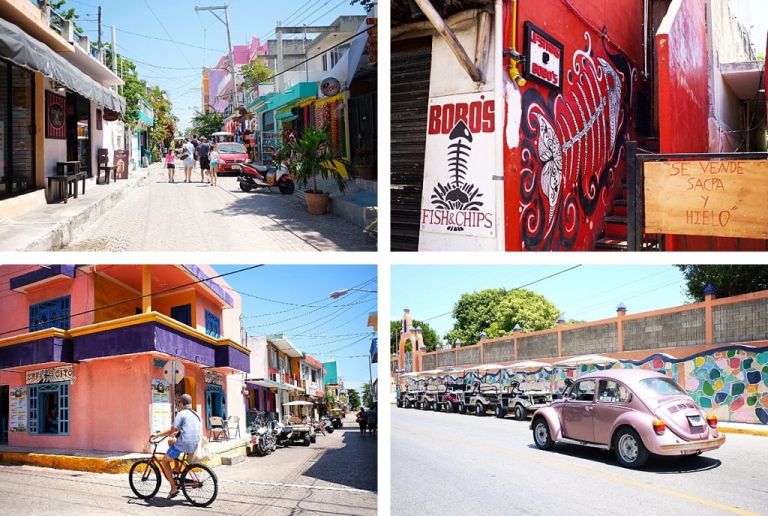 Playa Del Carmen - Isla Mujeres Requins Baleines
