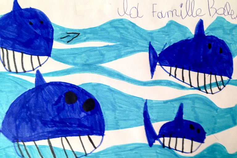 Baleines a Bon Desir