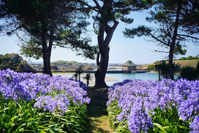 Ile de Bréhat