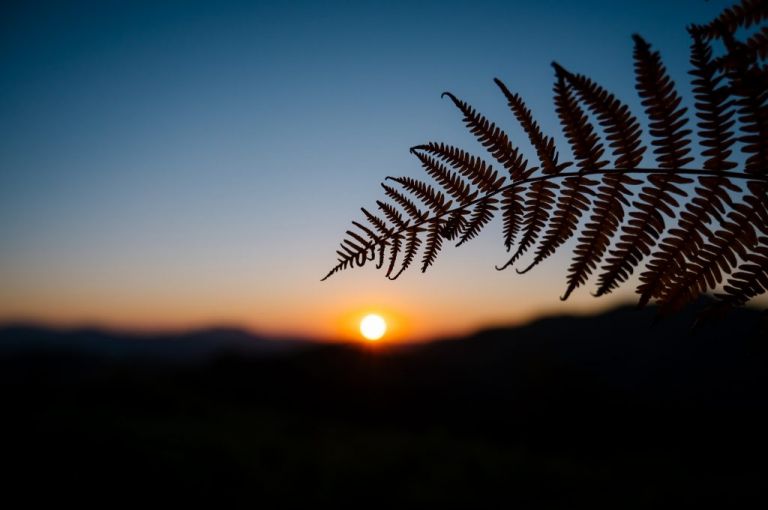 Le Col de Lizarrieta en camping car (64)