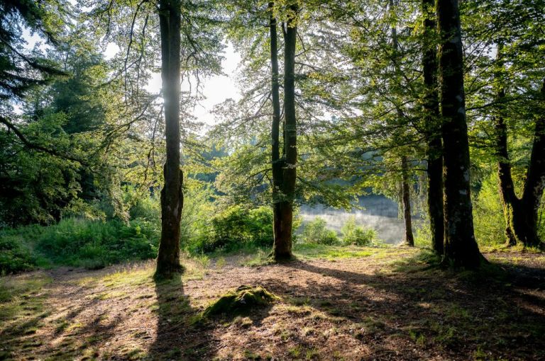 spot night camion aménagé - etang noir