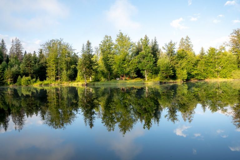 3 jours aux Milles Étangs - l'étang noir