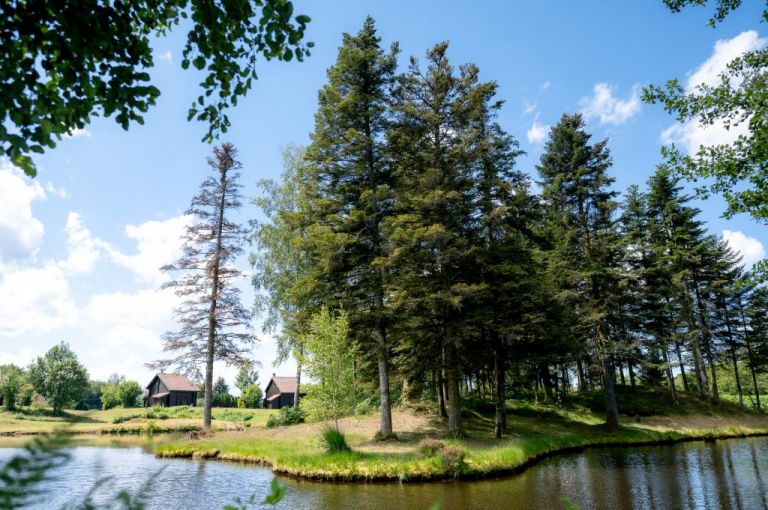 randonnée la petite finlande