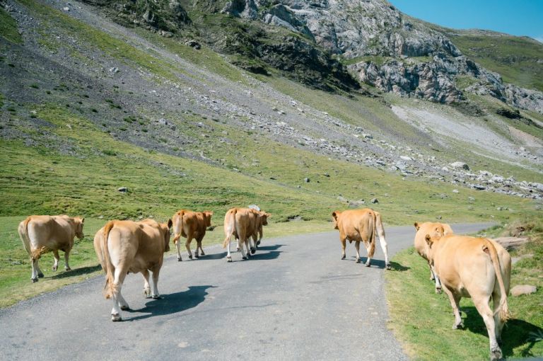 Gavarnie - Le Col des Tentes (65) 