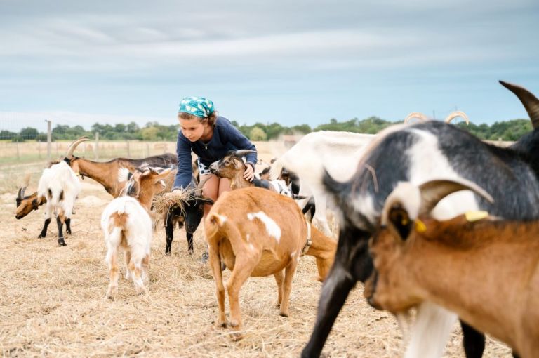 Les rencontres de la Haute-Garonne - Des Lys à la ferme