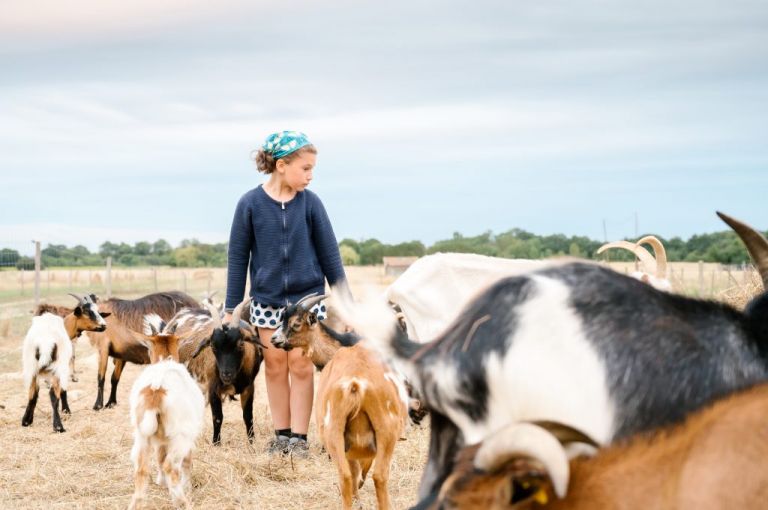 Les rencontres de la Haute-Garonne - Des Lys à la ferme
