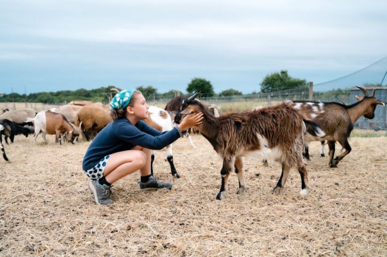 Les rencontres de la Haute-Garonne - Des Lys à la ferme