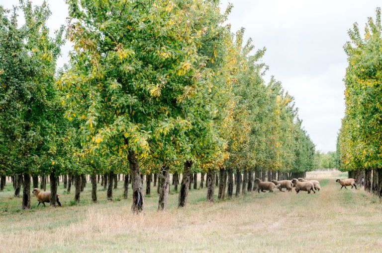 vanlife  france passion
