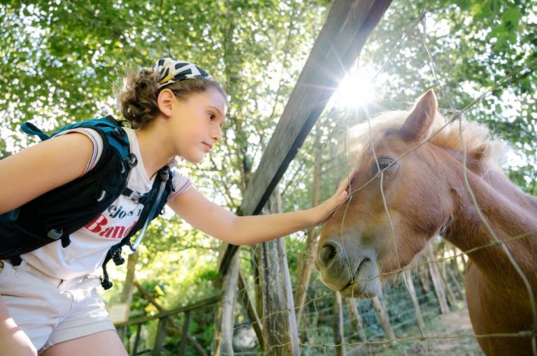 randonnée pyrenees atlantiques - pottok