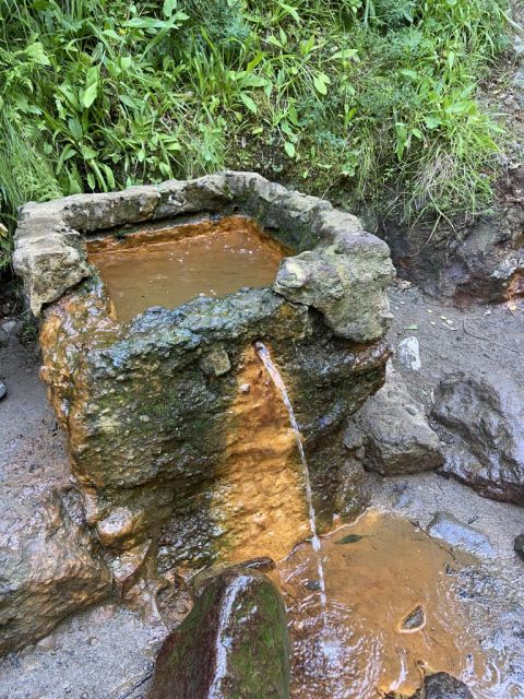 source d’eau ferrugineuse pétillante