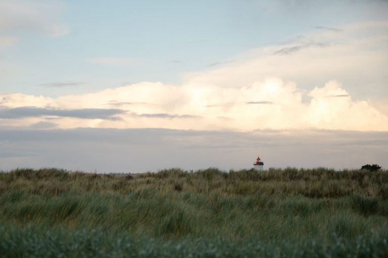 Un petit tour dans La Manche (50)