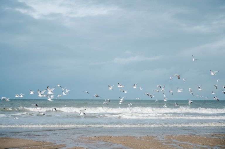 Carolles et ses jolies petites cabanes de plage