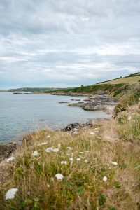 agnescolombo-port-racine-la-manche-vegetation