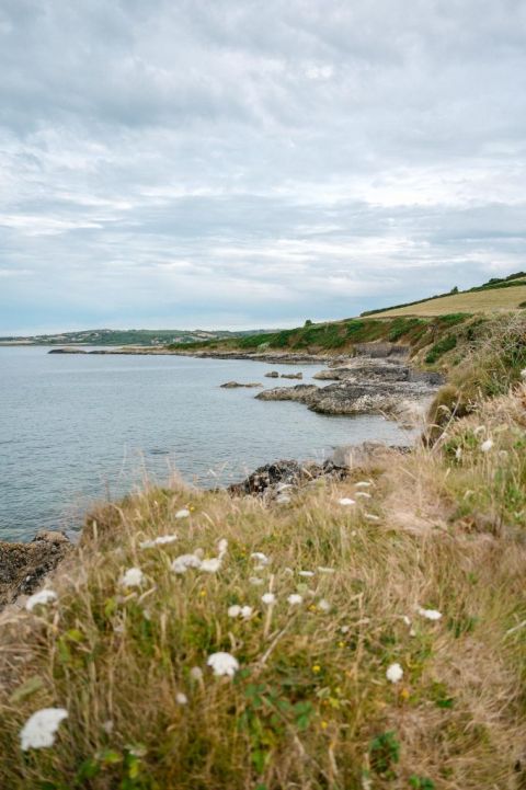 agnescolombo-port-racine-la-manche-vegetation